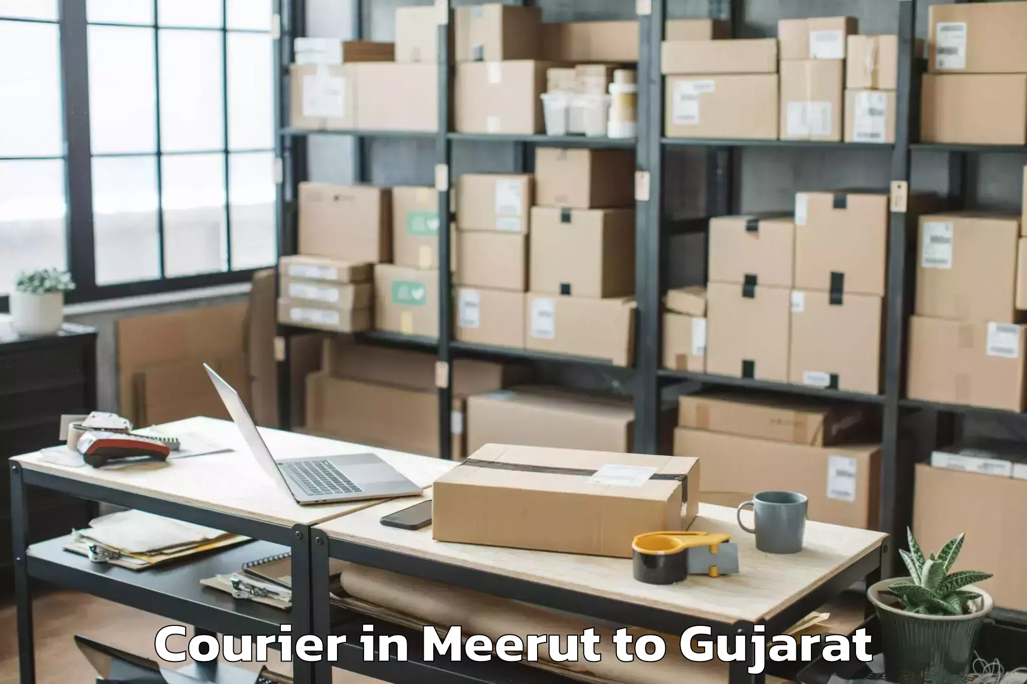 Leading Meerut to Netrang Courier Provider